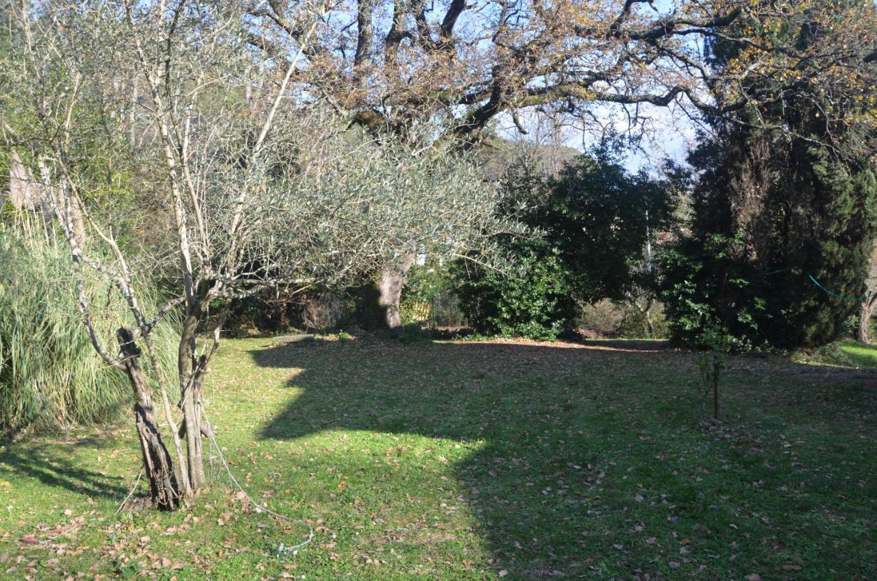 Ferienwohnung Il Giardino Secreto Manziana Exterior foto