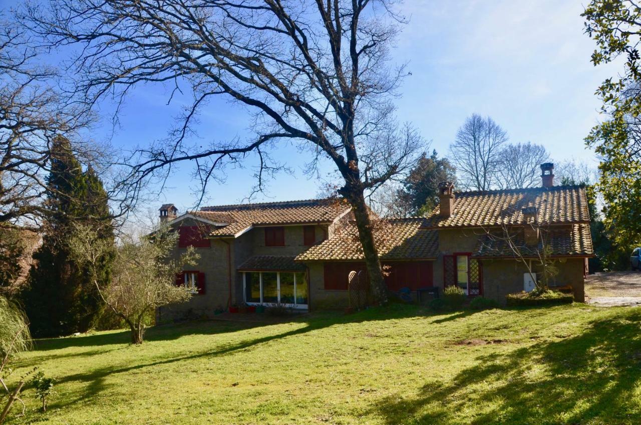 Ferienwohnung Il Giardino Secreto Manziana Exterior foto